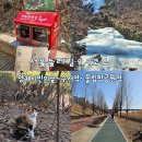 백로공원 화장실 | 서울둘레길 8코스 9코스 스탬프위치 벚꽃길을 걸을 수 있는 둘레길 매헌시민의숲 대모산 탄천