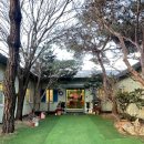 카페 개떼 | 산책으로 부족한 날, 남양주시 애견카페 ‘개떼놀이터’ 다녀온 후기!