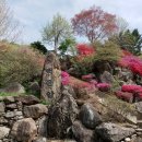 솔골펜션 이미지