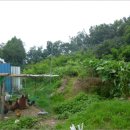 구암동281 이미지