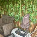 청석포레 이미지