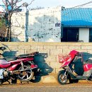 상모오토바이 이미지