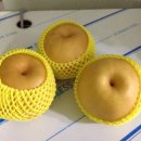 한솔동물병원 이미지