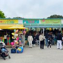 나이스게임장 이미지