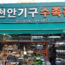 천안기구수족관