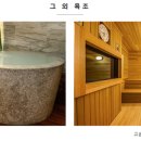 도미인 서울 강남 사우나 네이버블로그