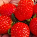 하곡농장 이미지