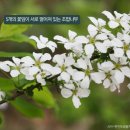 이팝인테리어 이미지