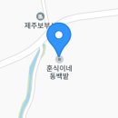 제주맵투어