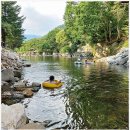 로베펜션 이미지