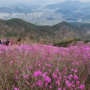 천주산 진달래 축제 산행. 이미지