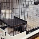 대구남부초등학교 | 대구 달서구 소동물 분양 [달빛햄스터리 대구점]