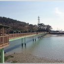 전라남도 신안군 안좌면 퍼플교 이미지