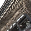 【관광】4월말에도 하나미를 즐길수 있는 교토 닌나지(仁和寺) 이미지