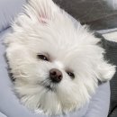 넥센구내식당