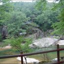 근화당약국 이미지