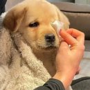 정선떡방 | 그럼에도 불구하고3