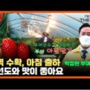 박정현농장 이미지