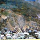 백야김좌진생가기념관 이미지