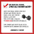 충의K타이거즈 태권도장 이미지