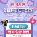 수원펫 동물병원 이미지