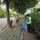 축항대로 이미지