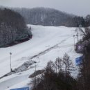 비발디의아침 이미지