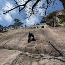 [뭐라도학교] 월담 4월 | 서울등산학교 정규반 45기 | 3주차 교육 후기 | 서등 클라이밍 취미추천