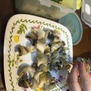 토미짐앤스파 | 서해안 부안 펜션 추천 변산반도 숙소 토미앤스파 숙박 후기