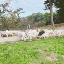 세진목장 이미지