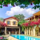 코코트리 | 보홀 리조트 0.5박 코코트리 리조트 패밀리룸 비추후기 내돈내산