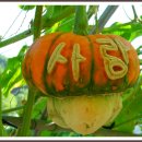 청암마을 이미지