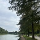 담양 | 담양여행후기