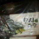 모시덕담