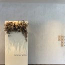 평창휘닉스파크 콘도 스위트로얄에서 FLEX한 후기 - 조식&amp;부대시설&amp;즐길거리