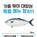 오늘초밥 티스토리