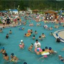 신정호야외수영장 이미지