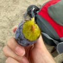 [40일간의유럽여행기] 마테라에서 아침~바리공항 물놀이~아테네 산티그마 광장 이동하는 하루