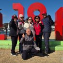 배알도수변공원 이미지