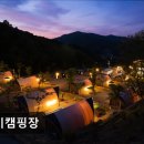 북면166 | 몽키캠핑장 몽키캠핑장, 프리미엄 캠핑 경험