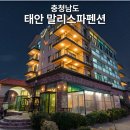 태안스파펜션채플힐 | 태안 말리스파펜션 오션뷰 스파 숙소 만리포해수욕장 도보 1분
