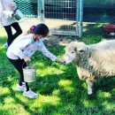 빅볼랜드 이미지