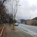 노블하우스 이미지