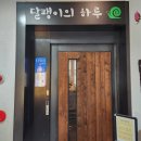 달팽이하우스 | [전주] 달팽이의 하루 게스트하우스 후기 / 전주 한옥마을 감성숙소