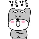 손토비발토비 이미지