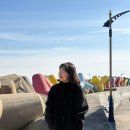 묵호잠자리 | 우행시 in 묵호