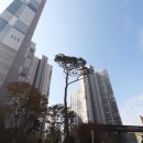 봉담한신더휴공인중개사사무소 이미지