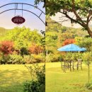 박종헌 농장 네이버블로그