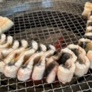 오늘은봄날 이미지