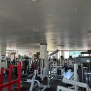 DM헬스클럽 이미지